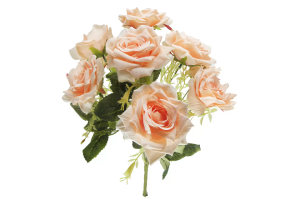 B.ROSA CABBAGE MICROP X6 ROSA 2T 39CM REF-42347012