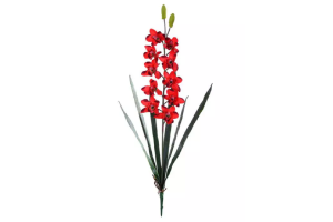 H.ORQUIDEA CYMBIUM CELTIM X10 VERMELHO REF-00801006