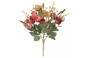 B.CAMELIA X13 ROSA BEAUTY CUTONO 31 CM REF-27406017