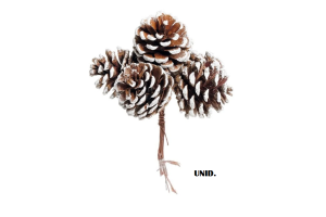 H. PICKPINHA BRANCO 10CM REF-64060001