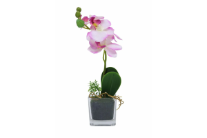 H.ORQUIDEA PHALAENOPSIS C/VASO X5 CORES REF-36686001