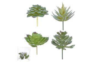 F.SUCULENTA SORTIDAS C/4 UNI VERDE 8,5CM REF-42745001