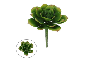 F.SUCULENTA X21 VERDE 7CM REF-42337001