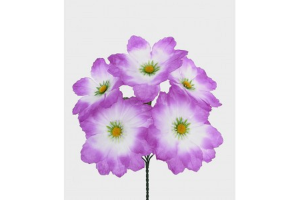 BQ DALIA X5 GD LAVANDA REF-29357-031