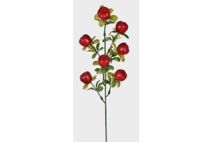 HT FRUTAS MACA REF-49146321