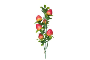 HT FRUTAS MORANGO FRUTA REF-49146861