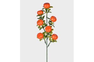 HT FRUTAS LARANJA REF-49146015