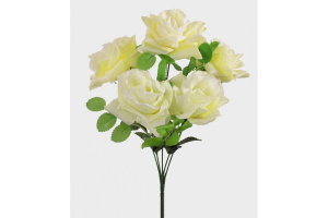 BQ ROSA X5 CETIM LX CREME REF-12977-10