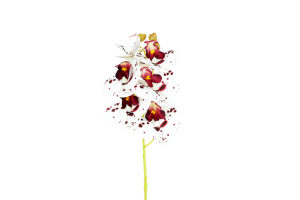 HT ORQUIDEA 3D EM PVC BRANCO VINHO REF-46406041
