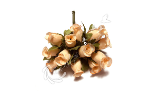 BQ MINI BOTAO X21 SALMAO OUTONO REF-24404-242