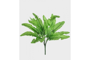 BQ SAMAMBAIA VERDE REF-49110-004