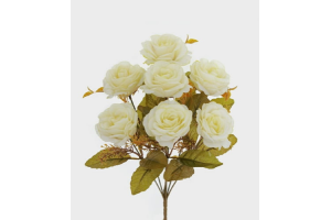 BQ ROSA CREME OUTONO REF-36026196