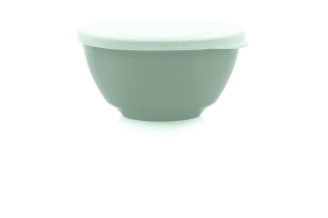 BOWL C/ TAMPA 850ML DIVERSOS REF-1024