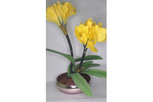 VASO FLOR DE VIDRO PRA DECORACAO REF-023