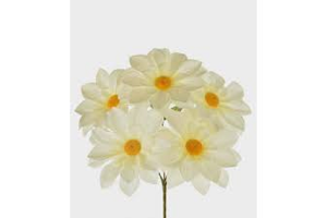 BQ DALIA X5 GD CREME OUTONO REF-29357196