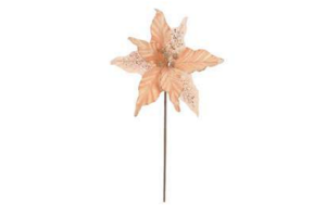 H. BICO PAPAGAIO AVELUDADO NUDE CHAMPANHE REF-74704002