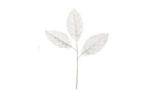 FOLHA ROSA NATAL C/ GLITTERX3 CHAMPANHE 72 CM REF-62500003