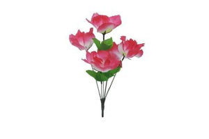 BQ DALIA X5 GD SALMAO REF-29357011