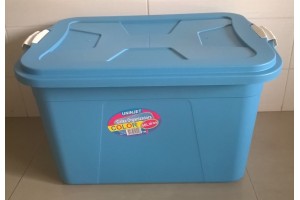 CAIXA ORGANIZADORA 56 L VERONA REF-412