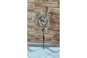 B. GYPSO X18 CREME 33CM REF-42203003