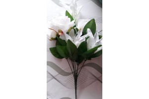 B. ROSA LIRIO X7 CREME 36CM REF-42280001