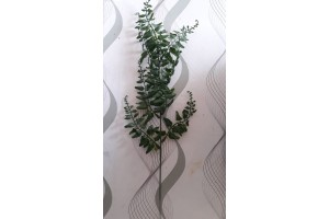 C. SAMAMBAIA PLT X9 VERDE ESCURO 52CMREF-36445002