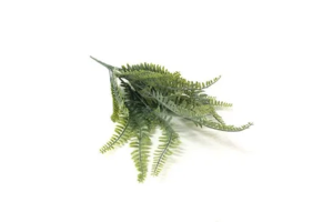 BQ PENDENTE SAMAMBAIA X9 VERDE REF-40872004