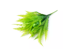 BQ FOLHA SAMAMBAIA X18 VERDE REF-36053004