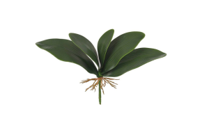 FOLHA ORQUIDEA X5 VERDE REF-18635004