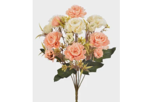 BQ ROSA SILVESTRE X5 SALMON CREME REF-47012214