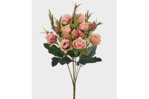 BQ ROSA MISTA X6 BEAUTY REF-51427132