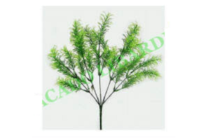 BQ CAPIM X5 VERDE REF-43035004