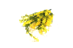 BQ COMPLEMENTO MINI LAVANDAS X5 AMARELO REF-49168005