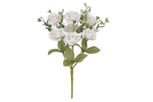 BQ ROSA SILVESTRE X5 CREME REF-47012010