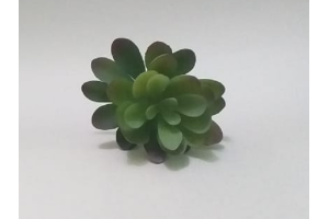 PICK SUCULENTA REAL AZUL REF-50255-001