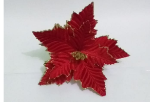 BICO DE PAPAGAIO 25 CM REF-66120-006