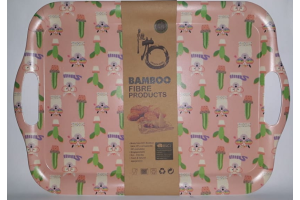 BANDEJA ECO CACTUS 42X29CM REF-HC8421506