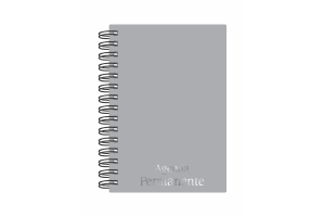 AGENDA WIRE-O PRATA MIOLO PERMANENTE REF-4861