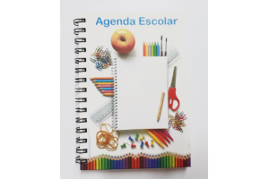 AGENDA ESCOLAR COMPLETA MIOLO PERMANENTE REF-2792