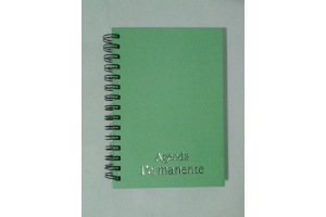 AGENDA WARE-O VERDE SERENO MIOLO PERMANENTE REF-5704