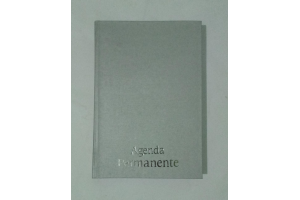 AGENDA COSTURADA PRATA MIOLO PERMANENTE REF-5690