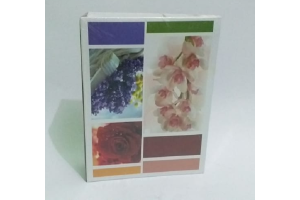 ALBUM 100 FOTOS 15X20 REF-199068