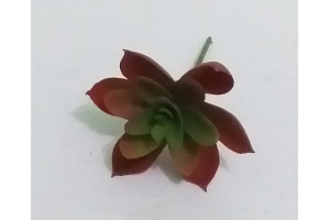 PICK SUCULENTA JADE VERDE REF-50250-004