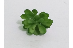 PICK SUCULENTA REAL VERDE REF-50253-004