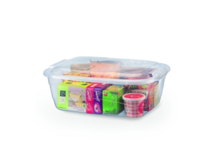 CONTAINERR ORGANIZADOR BAIXA 10L TRANSPARENTE REF-1100