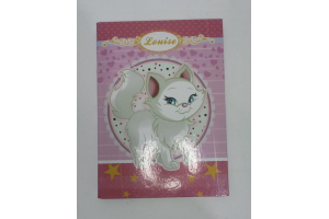 CADERNO 96 FLS 1X1 LUISE COD.375