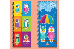 CADERNO 12 MATERIAS 240 FLS CORUJAS COD.4719