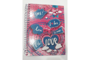 CADERNO  UNIVERSITARIO  CAPA DURA  12X1  240 FLS  LOVE