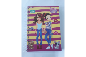 CADERNO 20 MATERIAS 400 FLS