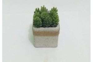 ARRANJO SUCULENTA CORES SORTIDAS REF-34334-300